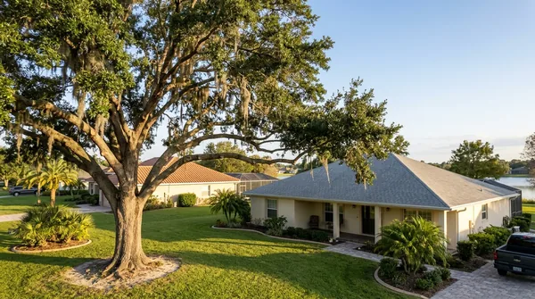 Team Orlando Tree Service in Orlando